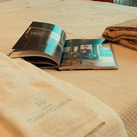 Casa Da Carvoaria Apartment *