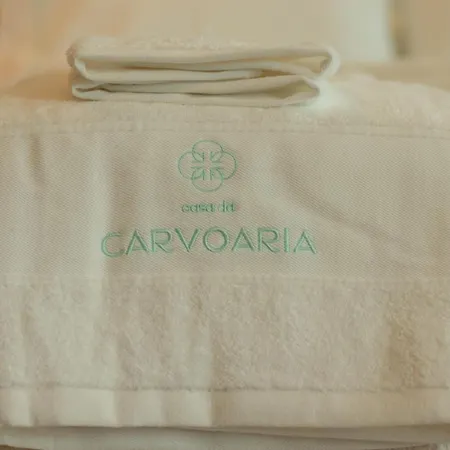 Casa Da Carvoaria Vila Real